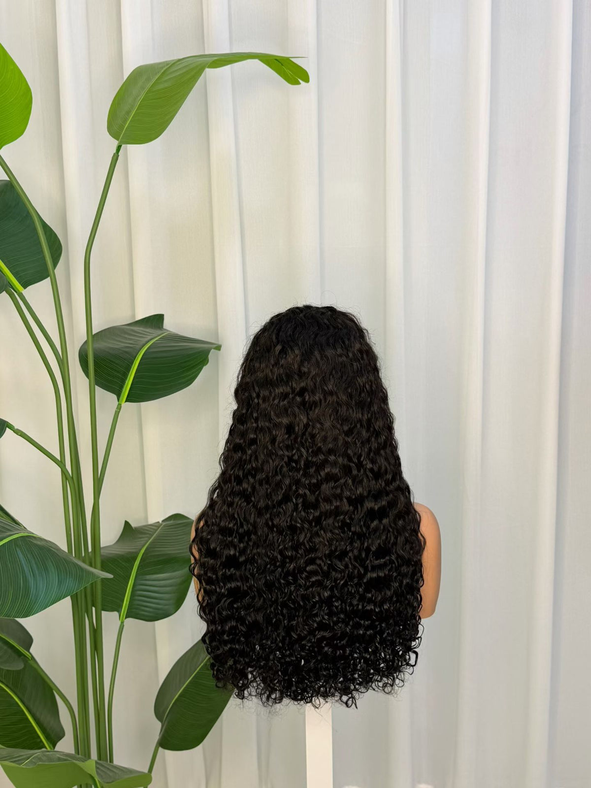 13x4 HD Lace Frontal Curly Wig - 24 Inch 100% Virgin Remy Human Hair (Pixie Curl / Burmese / Water Wave)