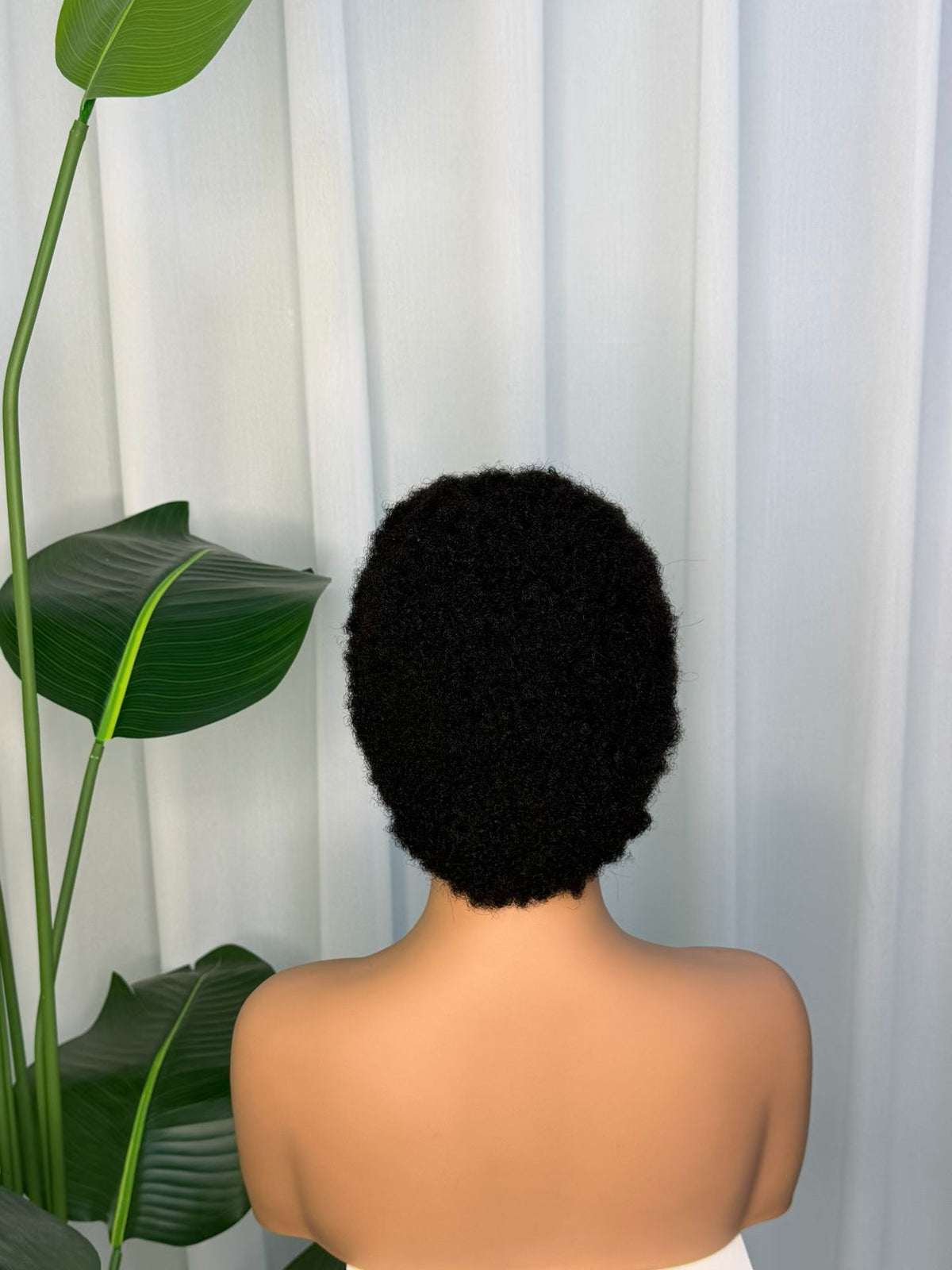 100% Human Hair Short Afro Kinky Curly 4x4 Lace Closure Wig - 905 Afro