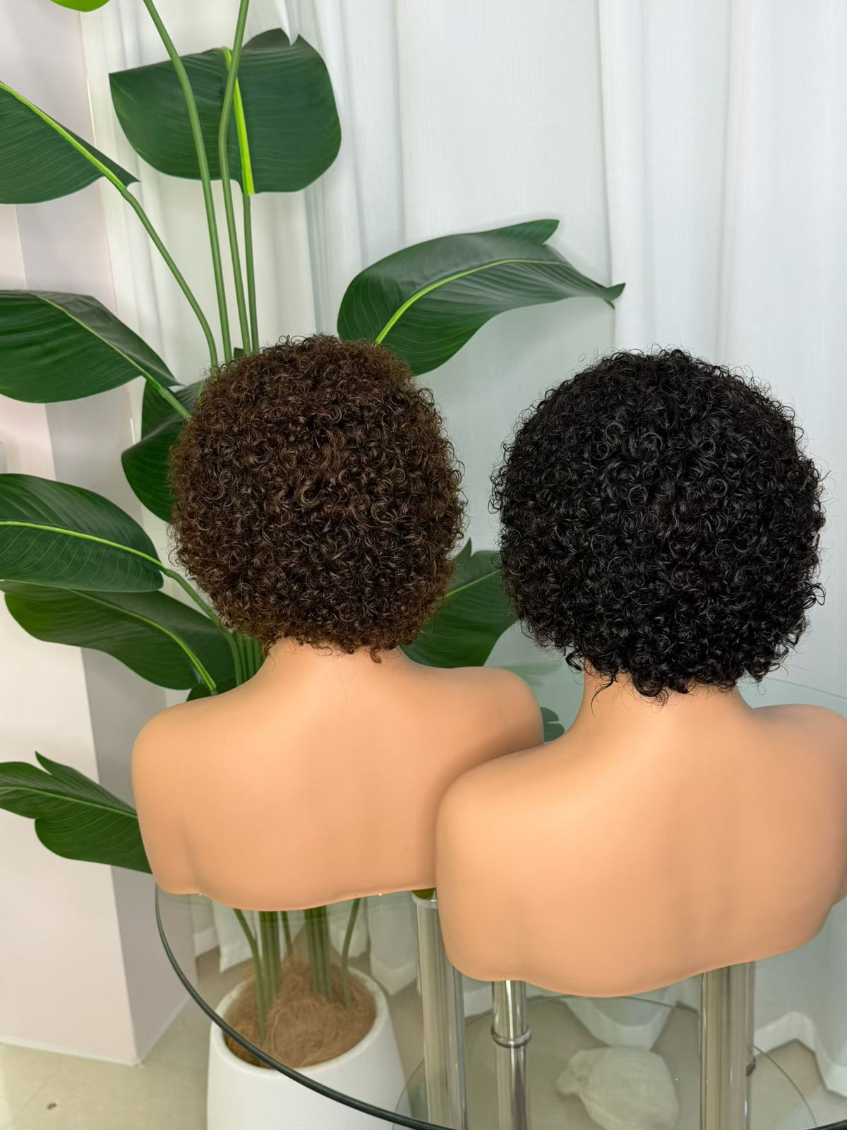 Pixie Cut Short Curly 100% Human Hair HD Lace Wig