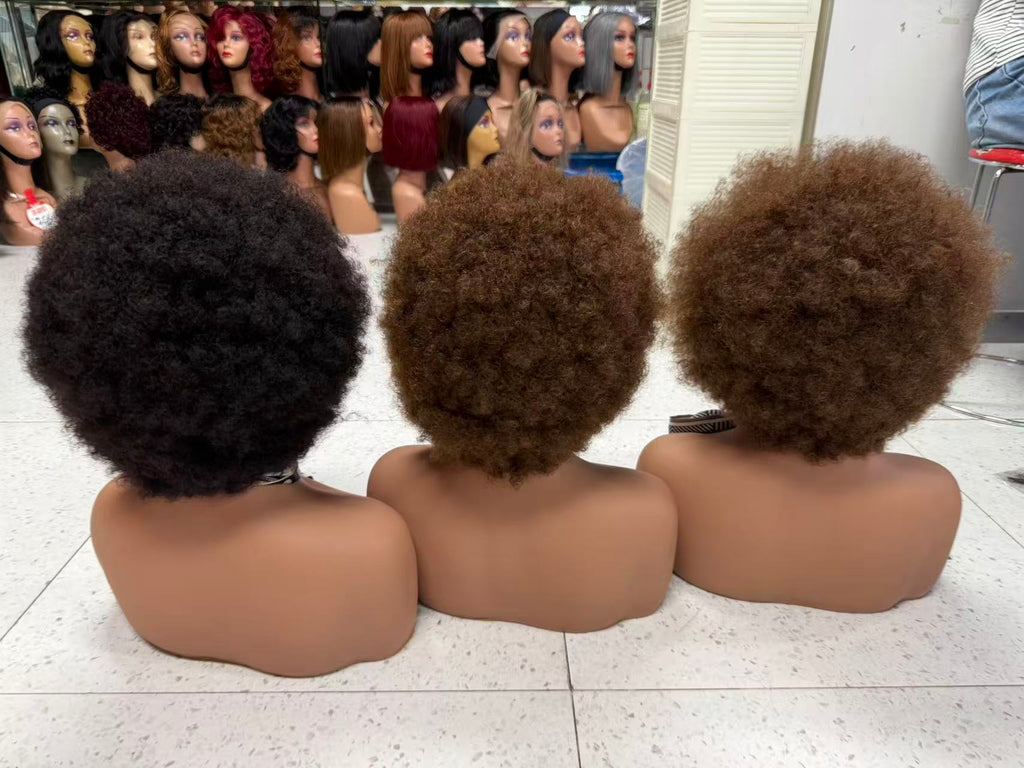 13x4 Lace Frontal Short Afro Kinky Curly Wig - 100% Virgin Remy Human Hair (10 Inch)